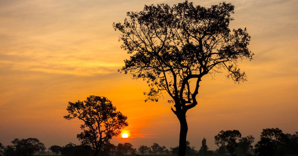 Sunset in Asia.