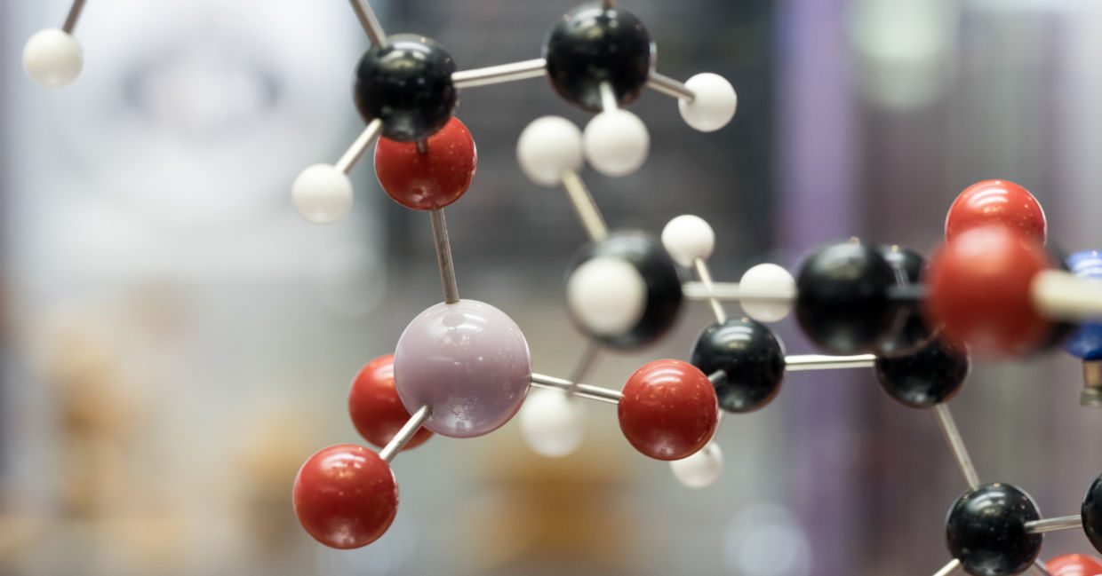 The atom model.