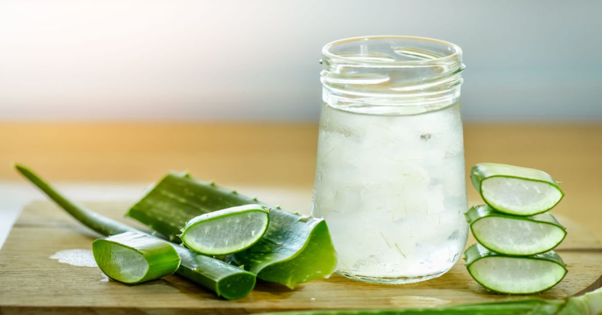 Making aloe vera gel into a healthy drink. Making aloe vera gel into a healthy drink.