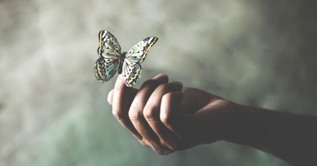 Butterflies symbolize joy and happiness. Butterflies symbolize joy and happiness.