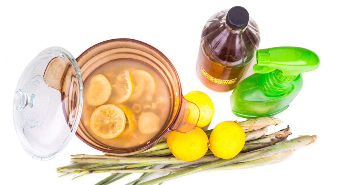Lemon is part of a home remedy to repel mosquitoes. Lemon is part of a home remedy to repel mosquitoes.