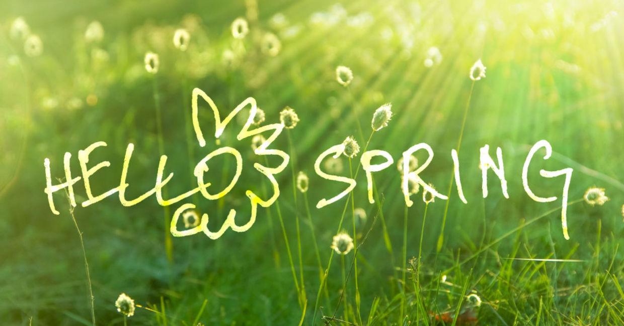 Welcome spring. Welcome spring.
