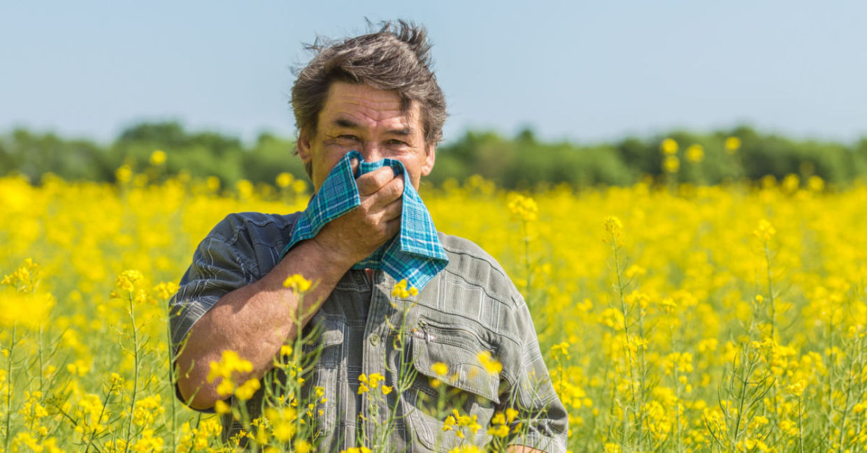 Spring fever or seasonal allergies? Spring fever or seasonal allergies?