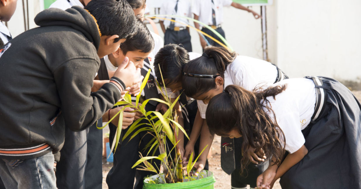 Children learning about nature. Children learning about nature.