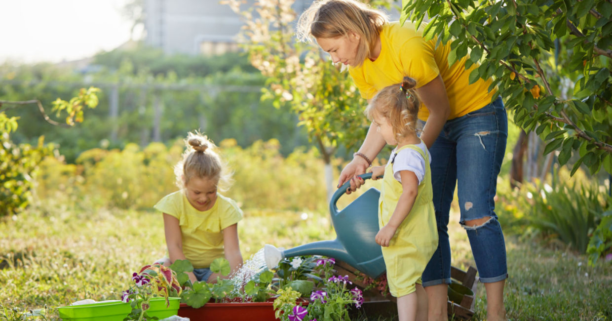 Tending a chaos garden. Tending a chaos garden.