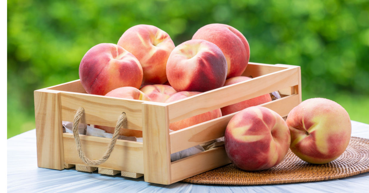 Enjoy peaches fresh in the summer. Enjoy peaches fresh in the summer.