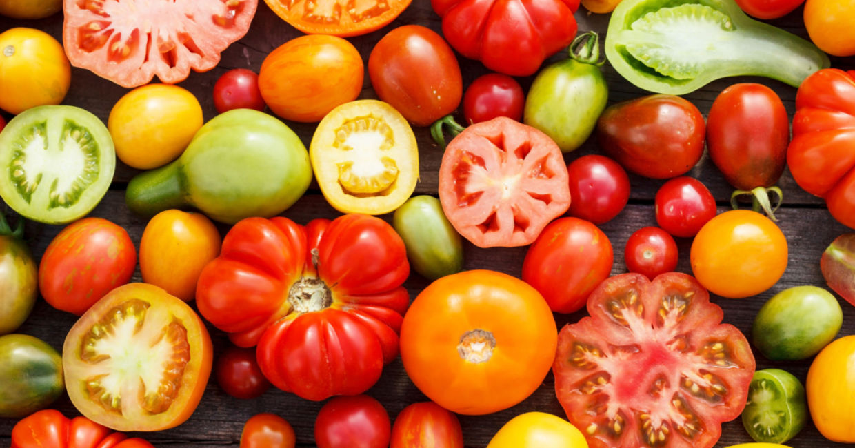 Various varieties of tomatoes. Various varieties of tomatoes.