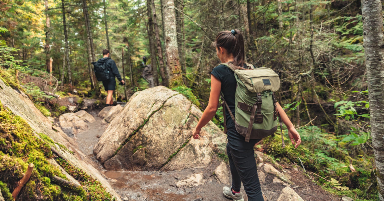 Hiking on a forest trail. Hiking on a forest trail.