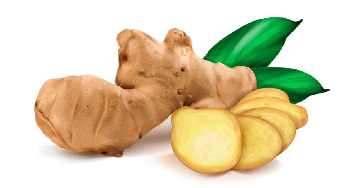 Ginger has many healing properties. Ginger has many healing properties.