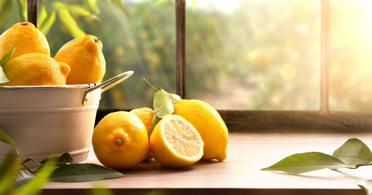 Fresh picked lemons Fresh picked lemons