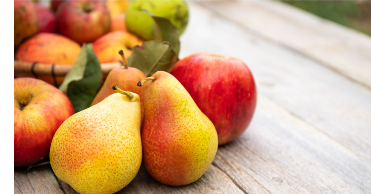 Apples and pears are winter fruit. Apples and pears are winter fruit.