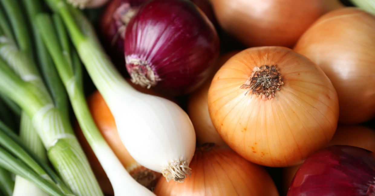Several varieties of onions. Several varieties of onions.