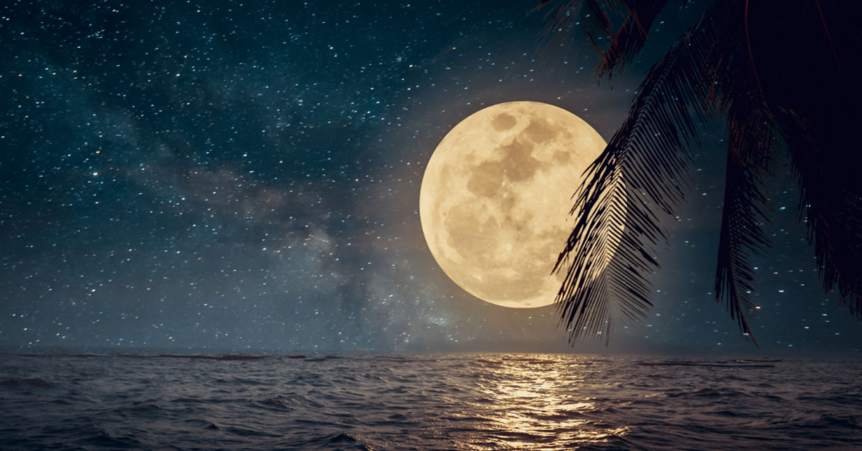 Full moon on a tropical beach. Full moon on a tropical beach.