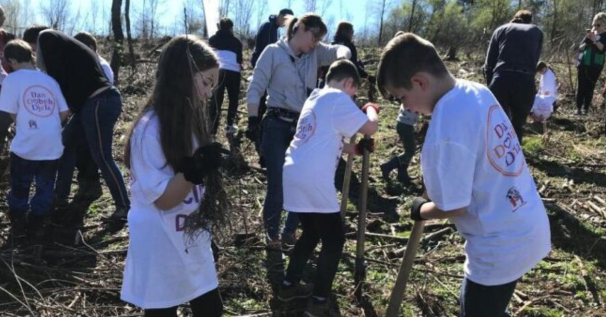Children in Croatia planting trees. Children in Croatia planting trees.