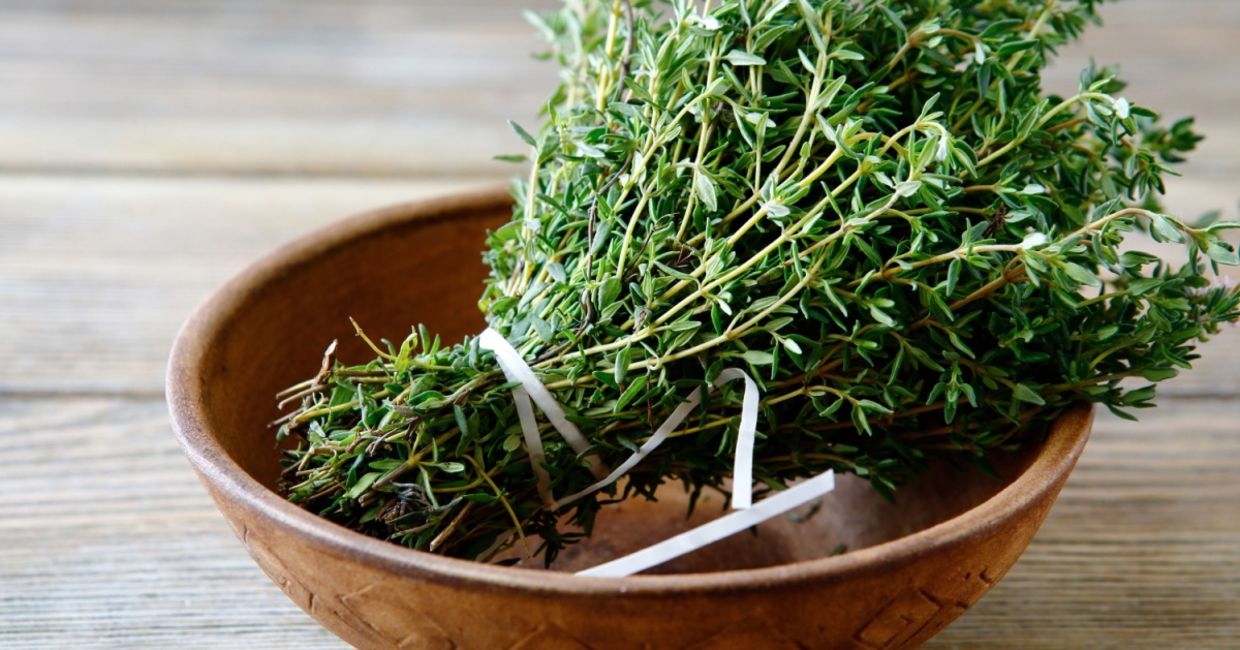 Fresh cut thyme. Fresh cut thyme.