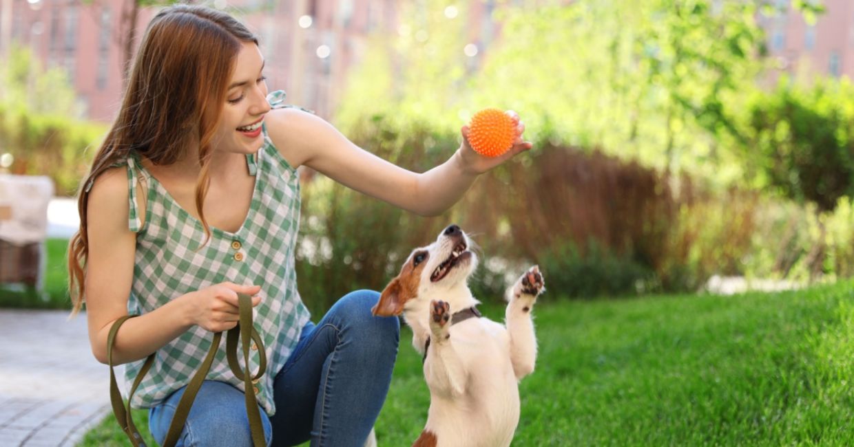 A woman playing with her dog. A woman playing with her dog.
