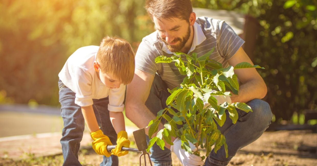 A father and son planting a tree. A father and son planting a tree.