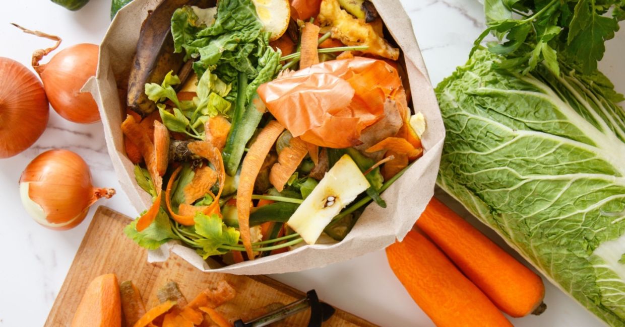 Food scraps that can be used to help plants. Food scraps that can be used to help plants.