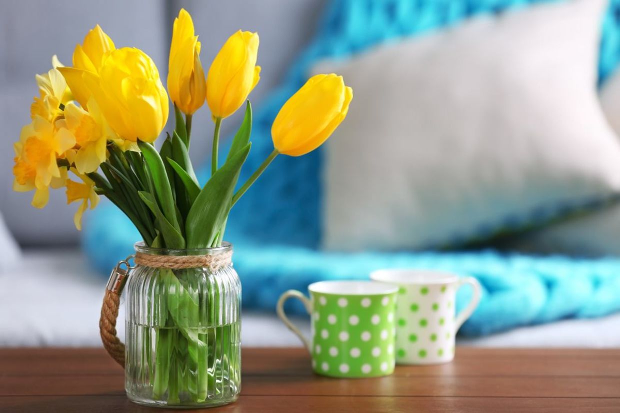 Enjoying beautiful spring tulips in your home. Enjoying beautiful spring tulips in your home.
