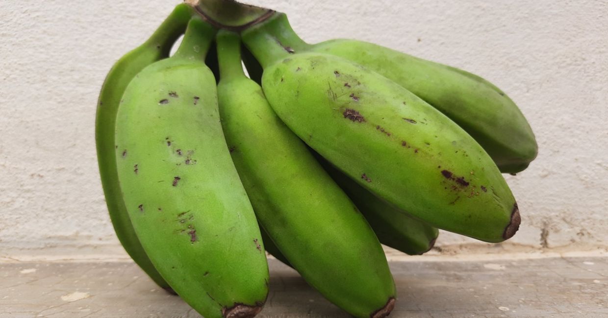 Unripe green bananas. Unripe green bananas.