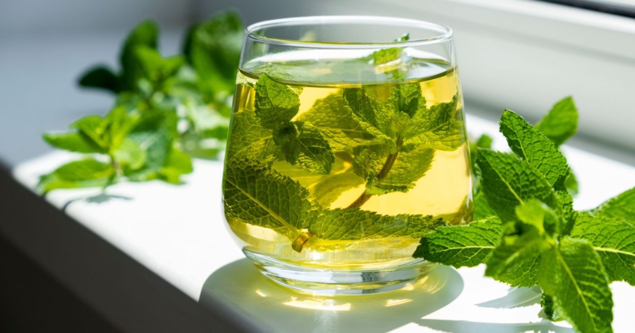 Mint water is good for your health. Mint water is good for your health.