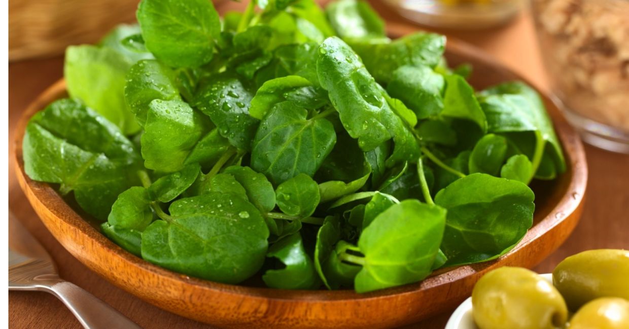 Watercress salads are good for you. Watercress salads are good for you.