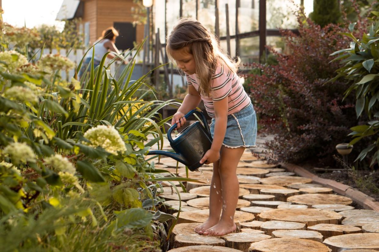 Watering plants in the garden. Watering plants in the garden.