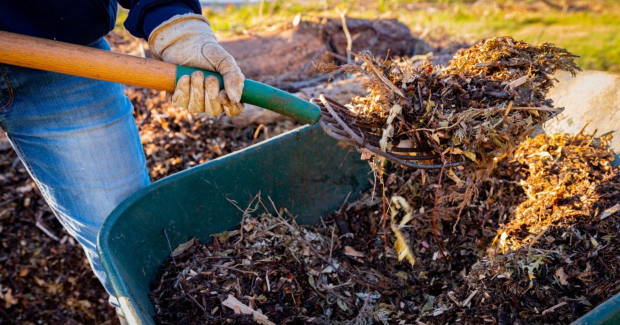 Adding mulch to a raised bed for planting. Adding mulch to a raised bed for planting.