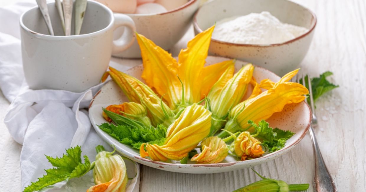 Zucchini flowers are very healthy. Zucchini flowers are very healthy.