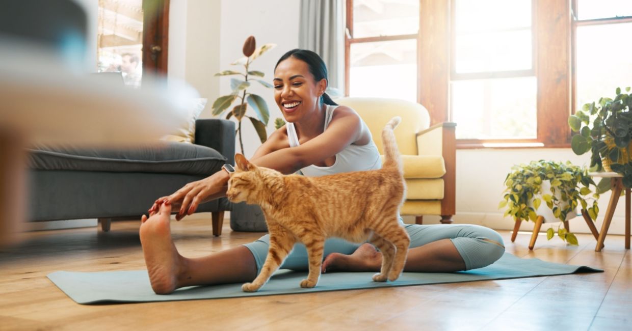 Do calming yoga or meditation. Do calming yoga or meditation.