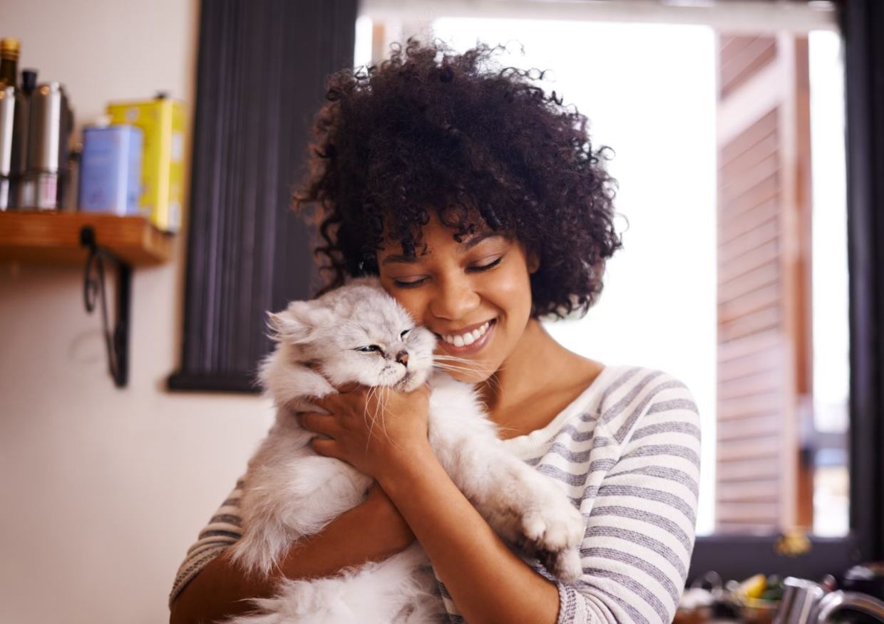 Cats are part of the family. Cats are part of the family.