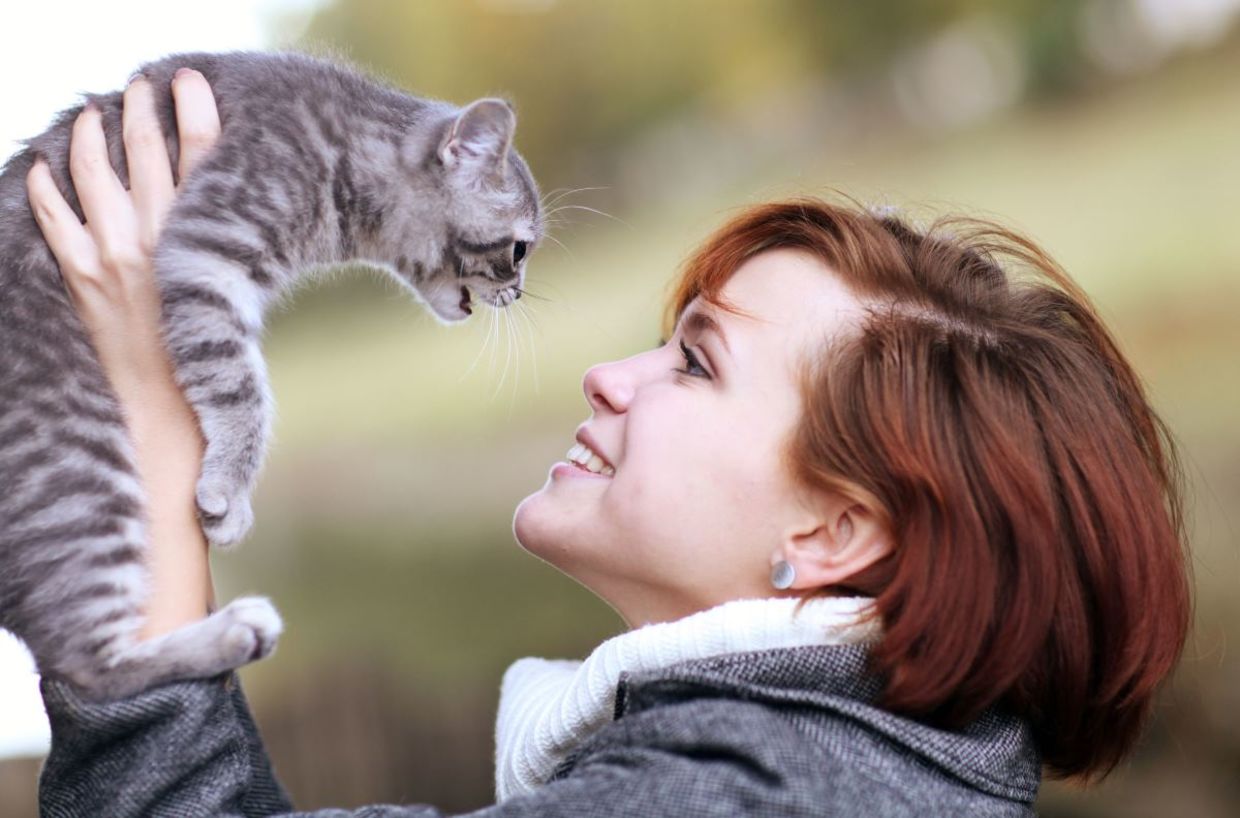 Making friends with a cat. Making friends with a cat.