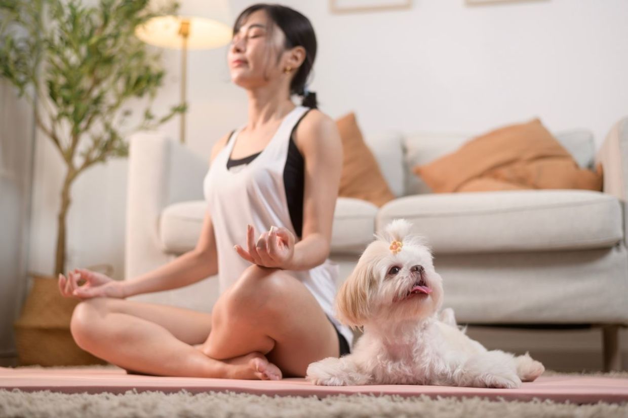 Woman meditating with her dog. Woman meditating with her dog.