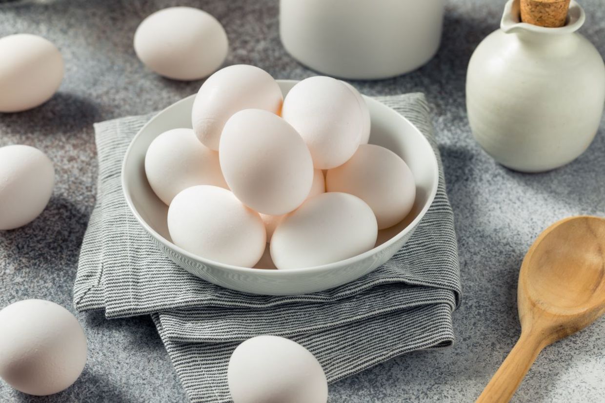 Eggs are good for you. Eggs are good for you.