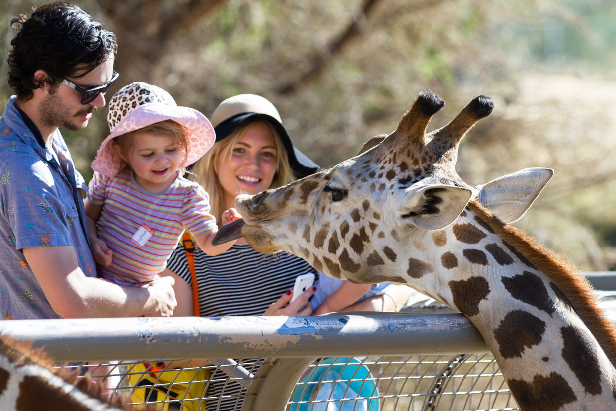 An interactive zoo experience.