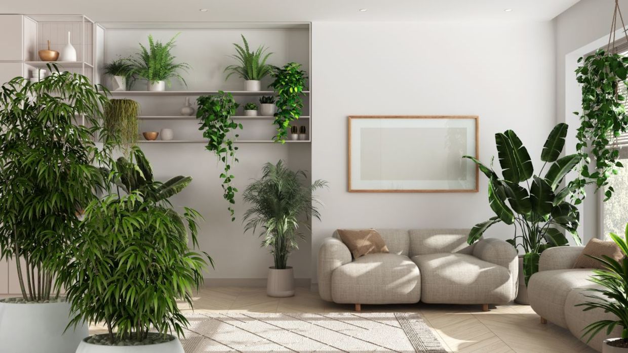 Use natural light for biophilic design. Use natural light for biophilic design.
