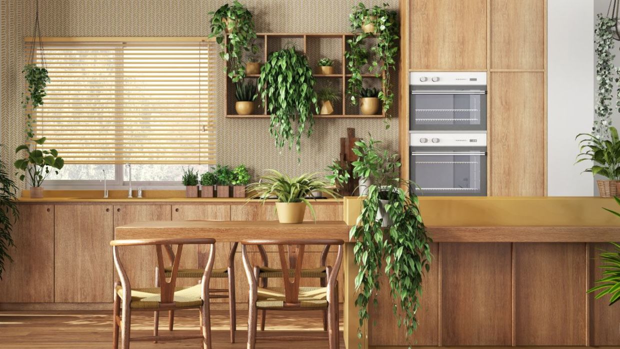 Strategically place plants in a space. Strategically place plants in a space.