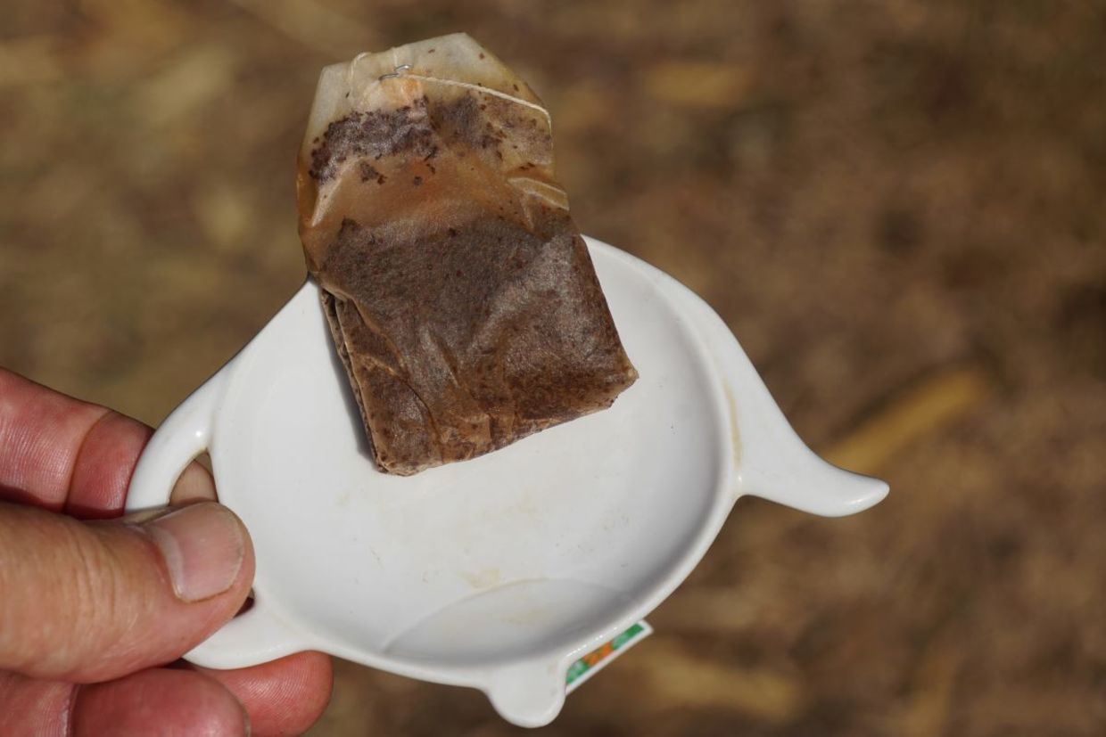 Reuse your tea bag. Reuse your tea bag.