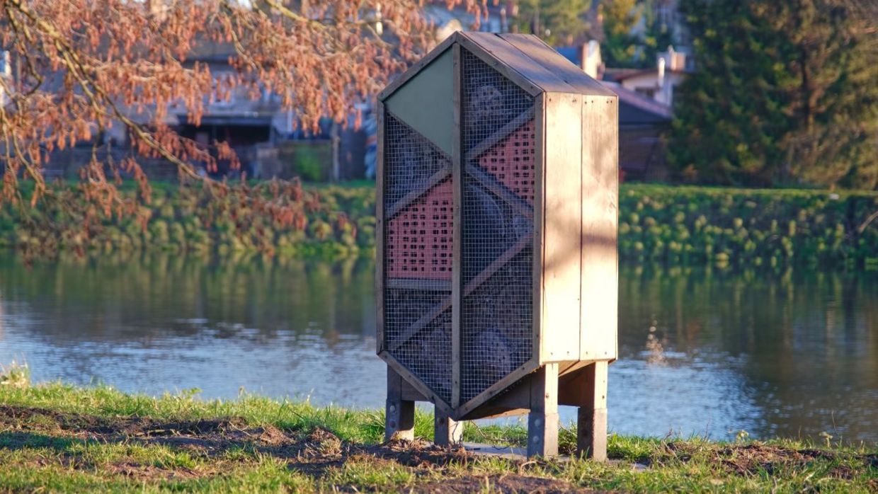 Wooden bee hotel.