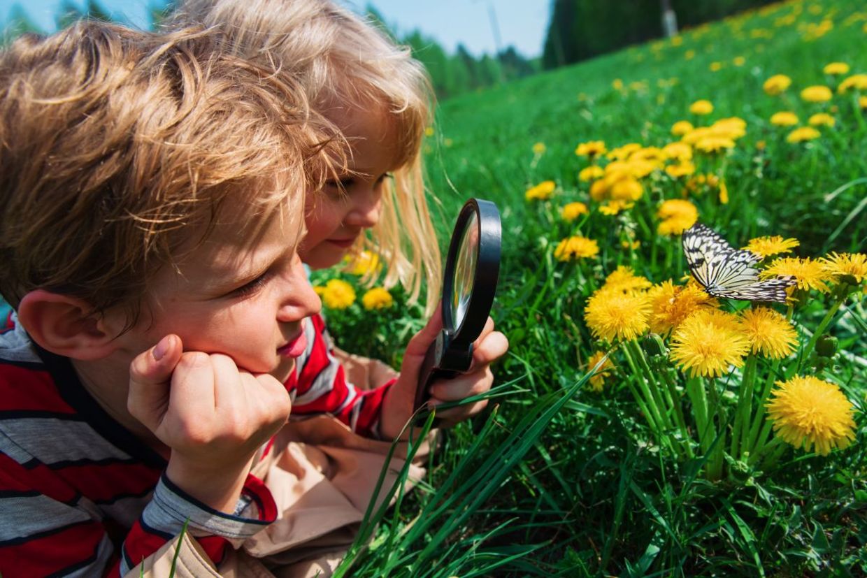 Children exploring nature. Children exploring nature.