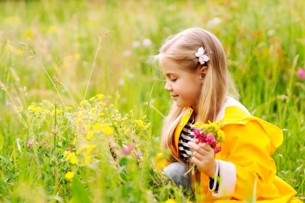 Picking wildflowers for a Mother's Day bouquet. Picking wildflowers for a Mother's Day bouquet.