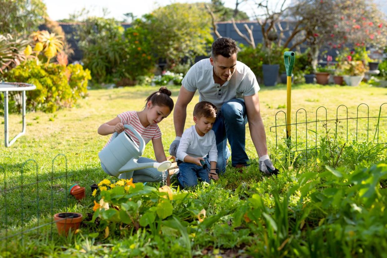 Kids help to weed a garden. Kids help to weed a garden.
