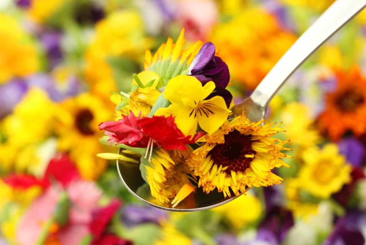 Edible flowers are a growing trend. Edible flowers are a growing trend.
