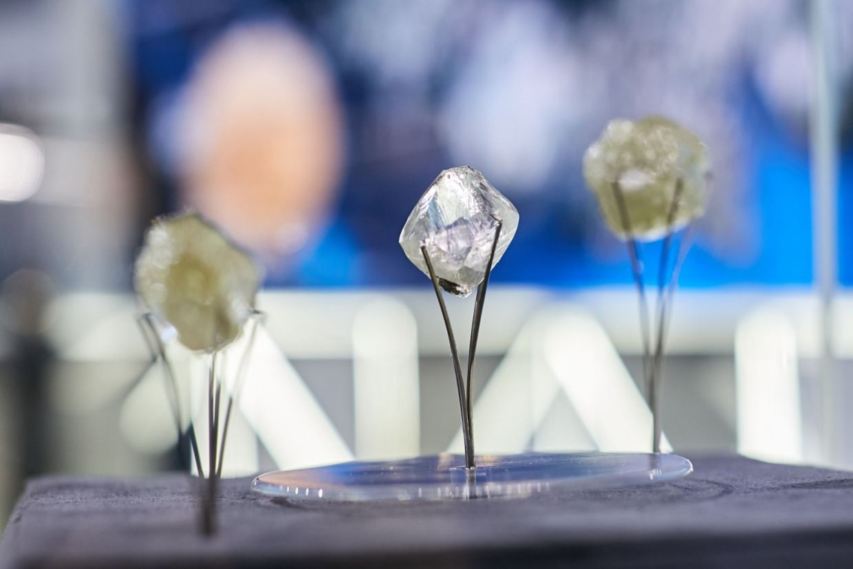 Close-up of rough diamonds displayed on metal stands. Close-up of rough diamonds displayed on metal stands.