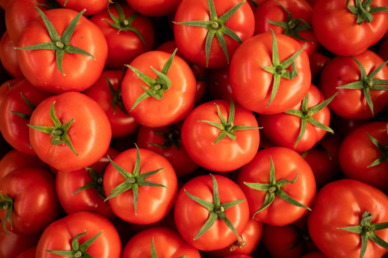 Ripe red tomatoes.
